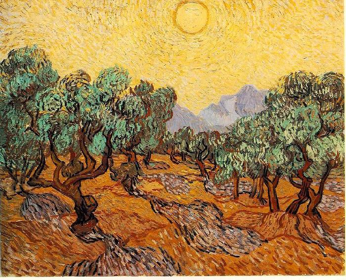 Vincent Van Gogh Olive Trees with Yellow Sky and Sun